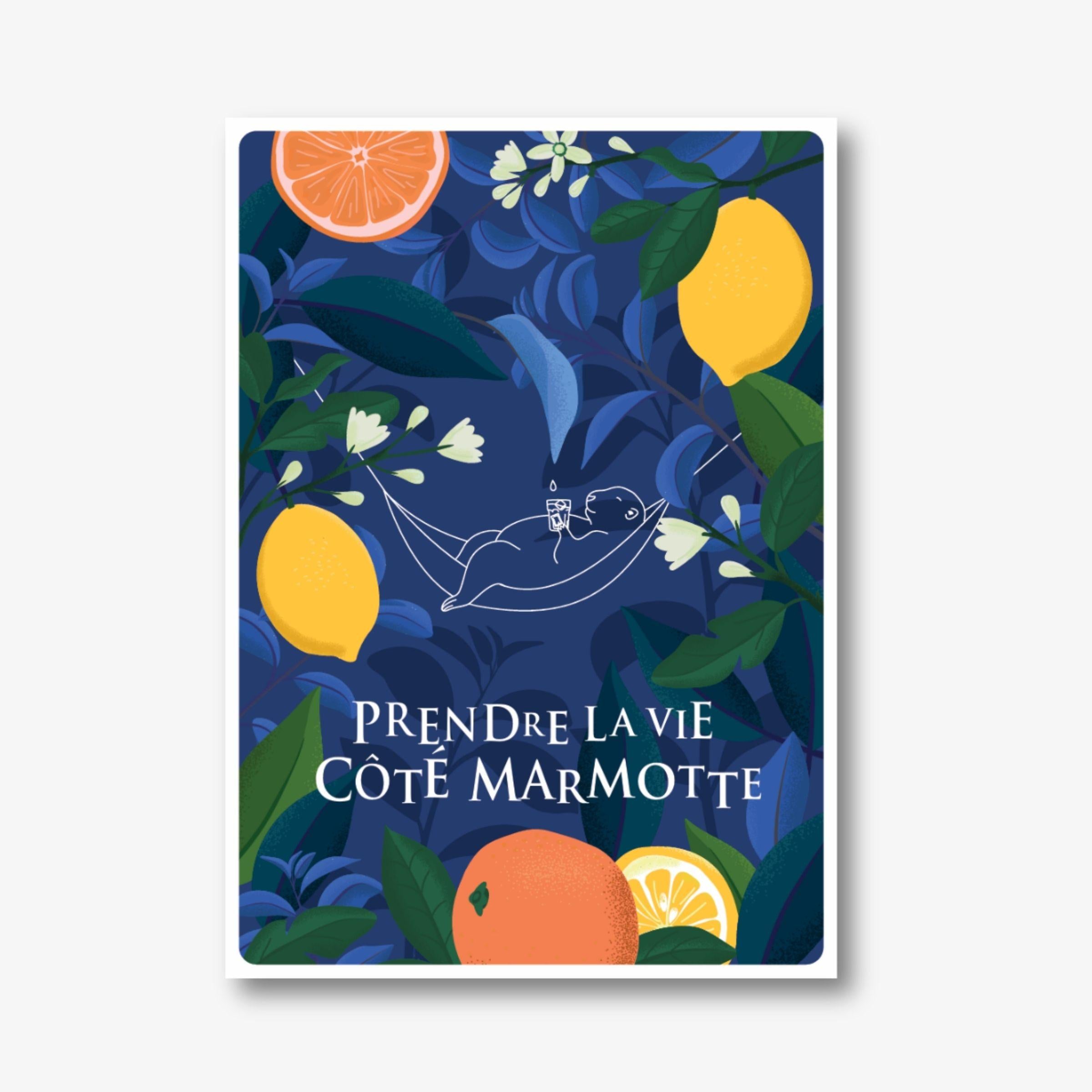 Carte postale bleue foncé avec décor du sud plantes fruits oranges et citrons, illustration marmotte dans un hamac avec un verre dans les pattes, citation détente "prendre la vie côté marmotte". A offrir aux gros dormeurs, aux personnes zen ou qui aiment la montagne.