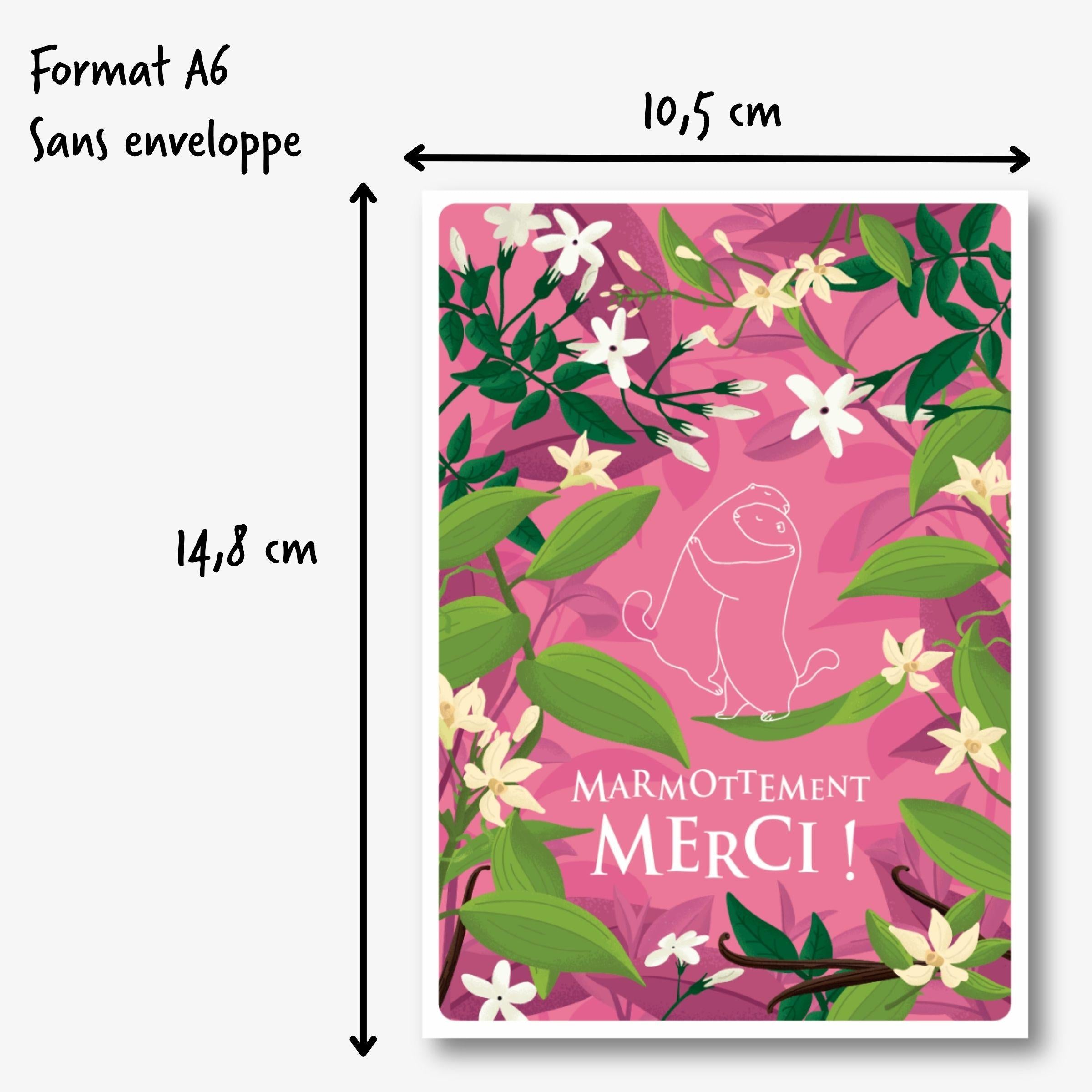 Carte postale merci rose marmotte dimensions