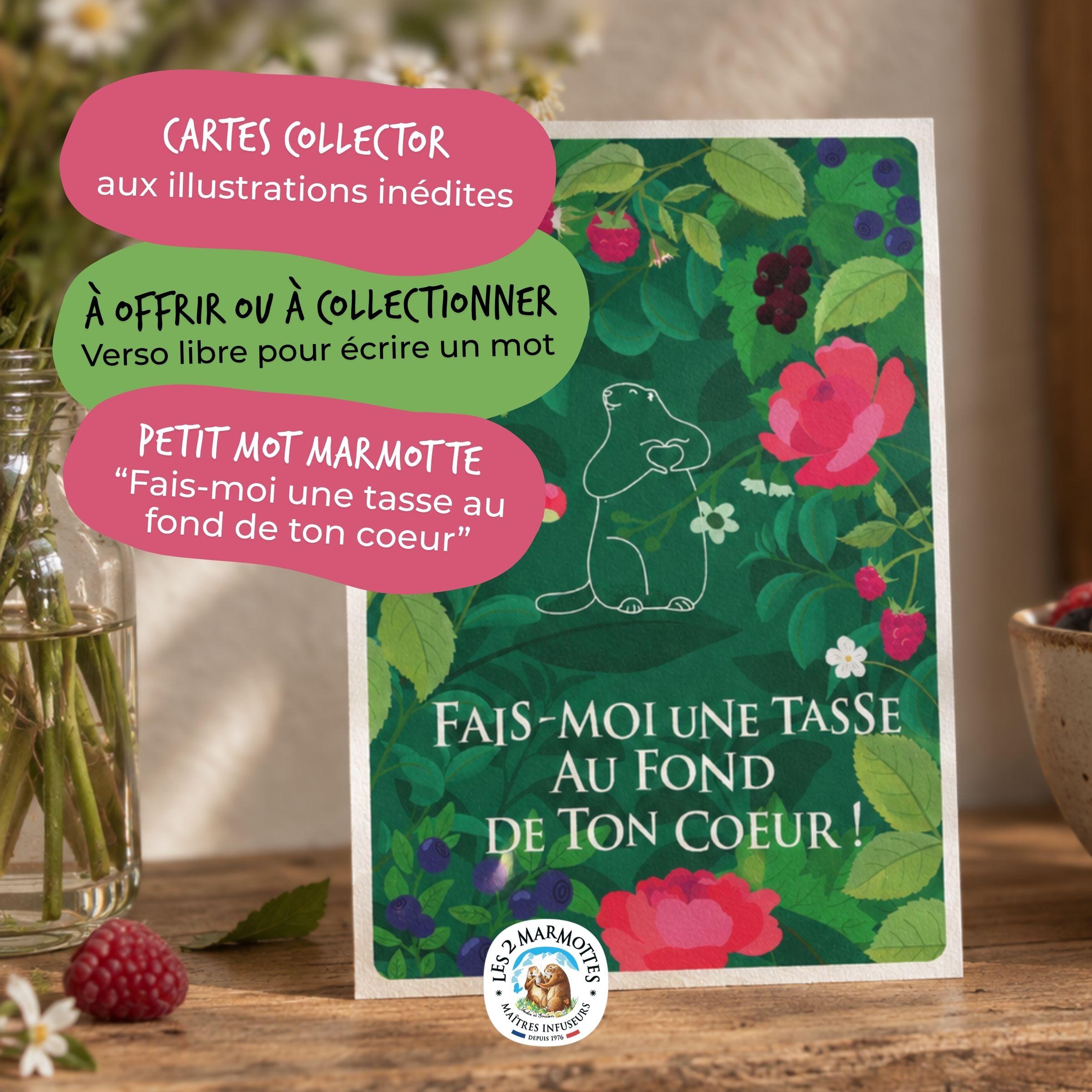 Carte postale les 2 marmottes verte avec illustration nature ( fleurs de pivoine, myrtille, cassis, framboise...), décor autour d'une marmotte qui fait un coeur avec les pattes, citation mignonne "fais-moi une tasse au fond de ton coeur". Idée petite attention pour son chéri ou sa chérie qui aime le thé ou les tisanes. Fait partie d'une série limitée à collectionner.