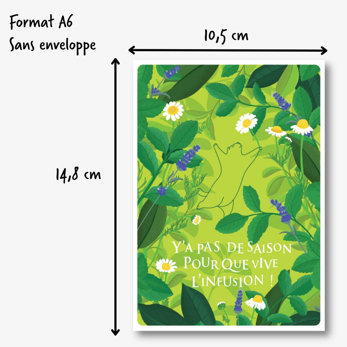 Carte postale vert clair dimensions