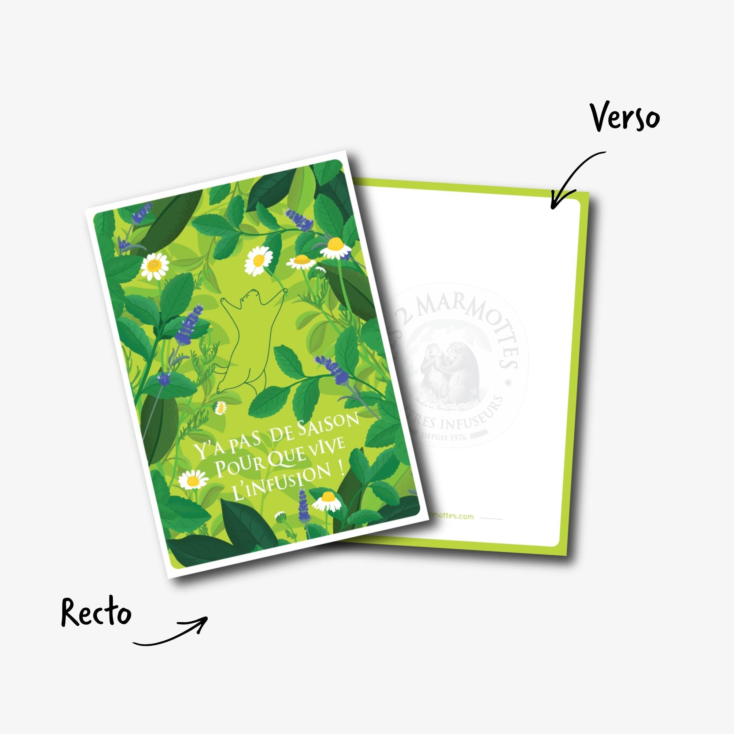 Détail recto / verso carte postale les 2 marmottes vert clair et fleurs