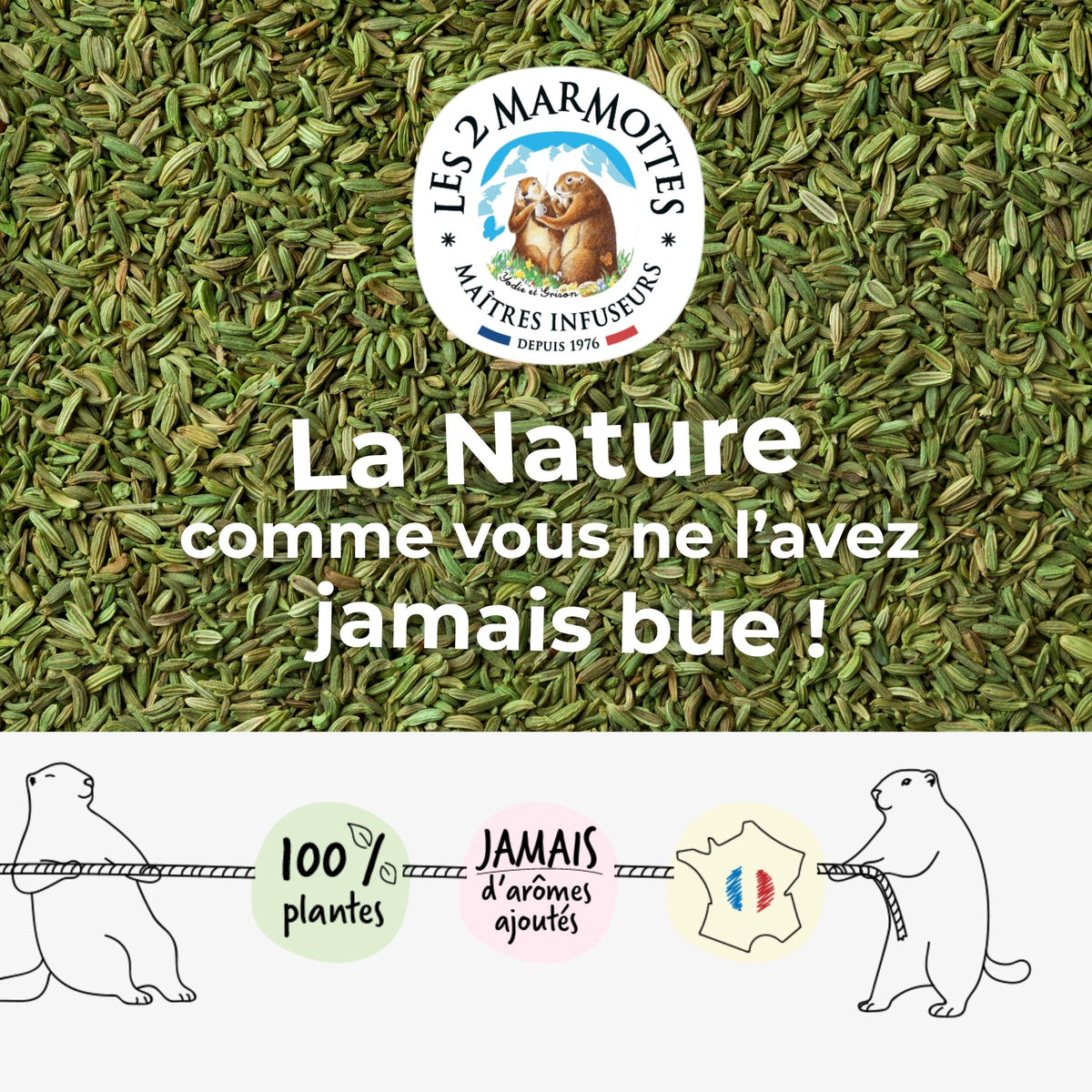 Les 2 marmottes, fabricant de tisanes, infusions et thés en Haute-Savoie. Savoir-faire français depuis 1976. Nos maîtres-infuseurs créent des tisanes et thés 100% plantes, sans jamais d'arômes ajoutés. Nos tisanes digestion à l'anis n'utilisent que des vraies graines d'anis, sans arôme ajouté ni extrait ni huile essentielle.