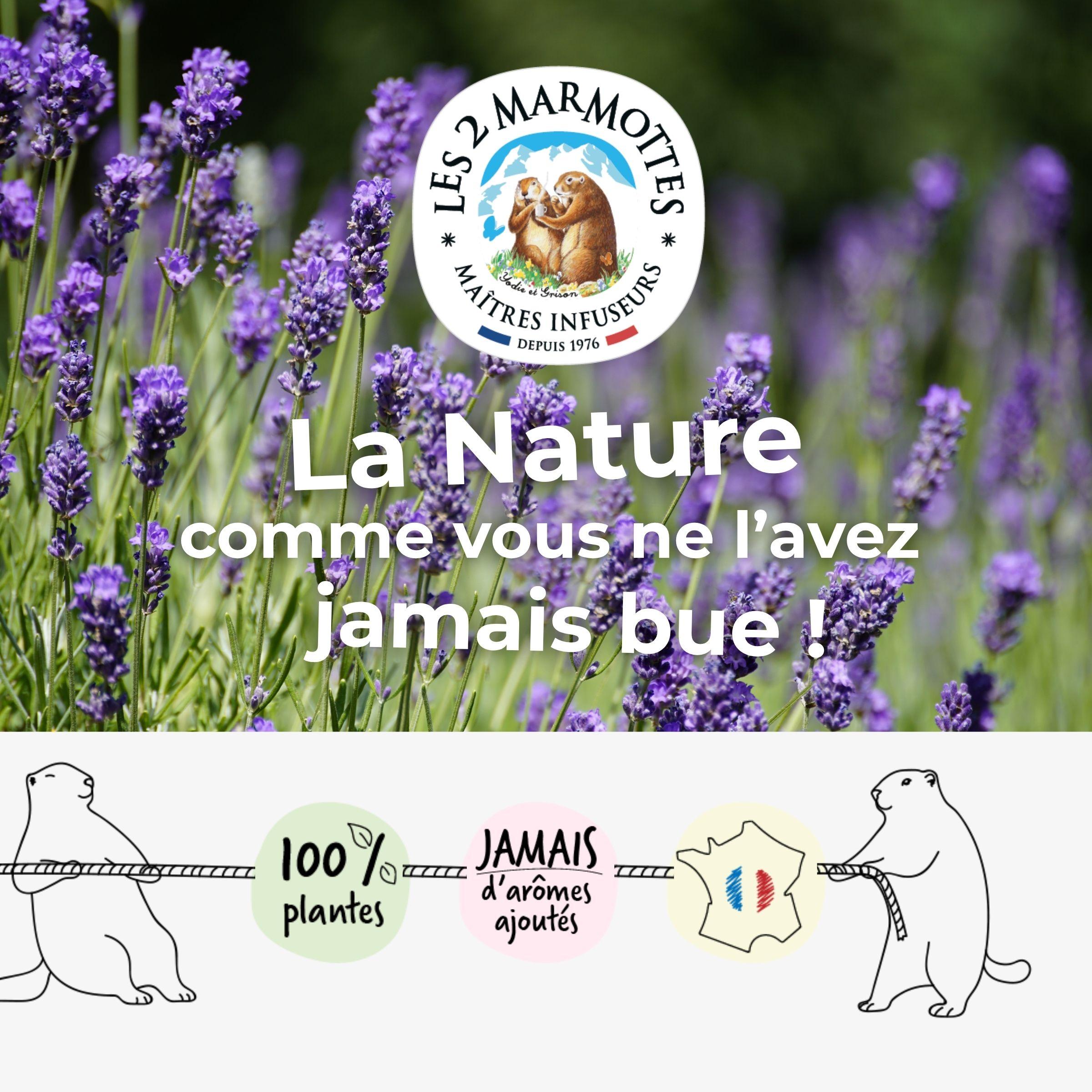 Les 2 Marmottes, fabricant français de tisanes, infusions et thés. Tisanes et thés 100% plantes, sans jamais d'arômes ajoutés.