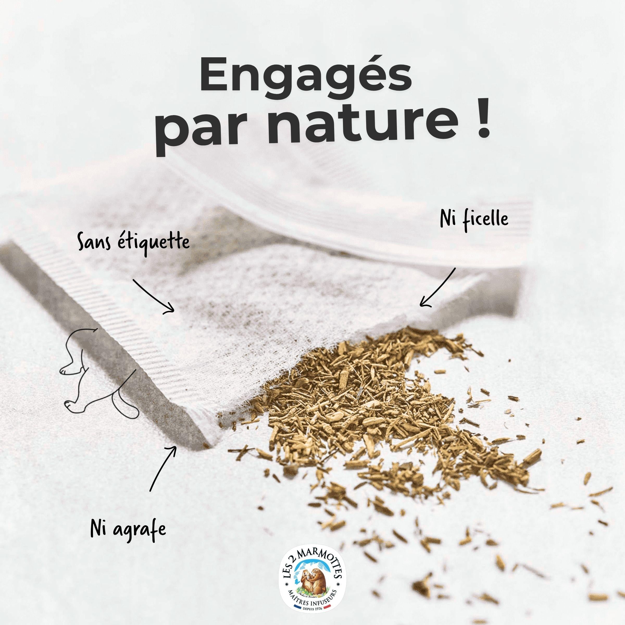 Les 2 marmottes : infusettes sans étiquette ni ficelle ni agrafe