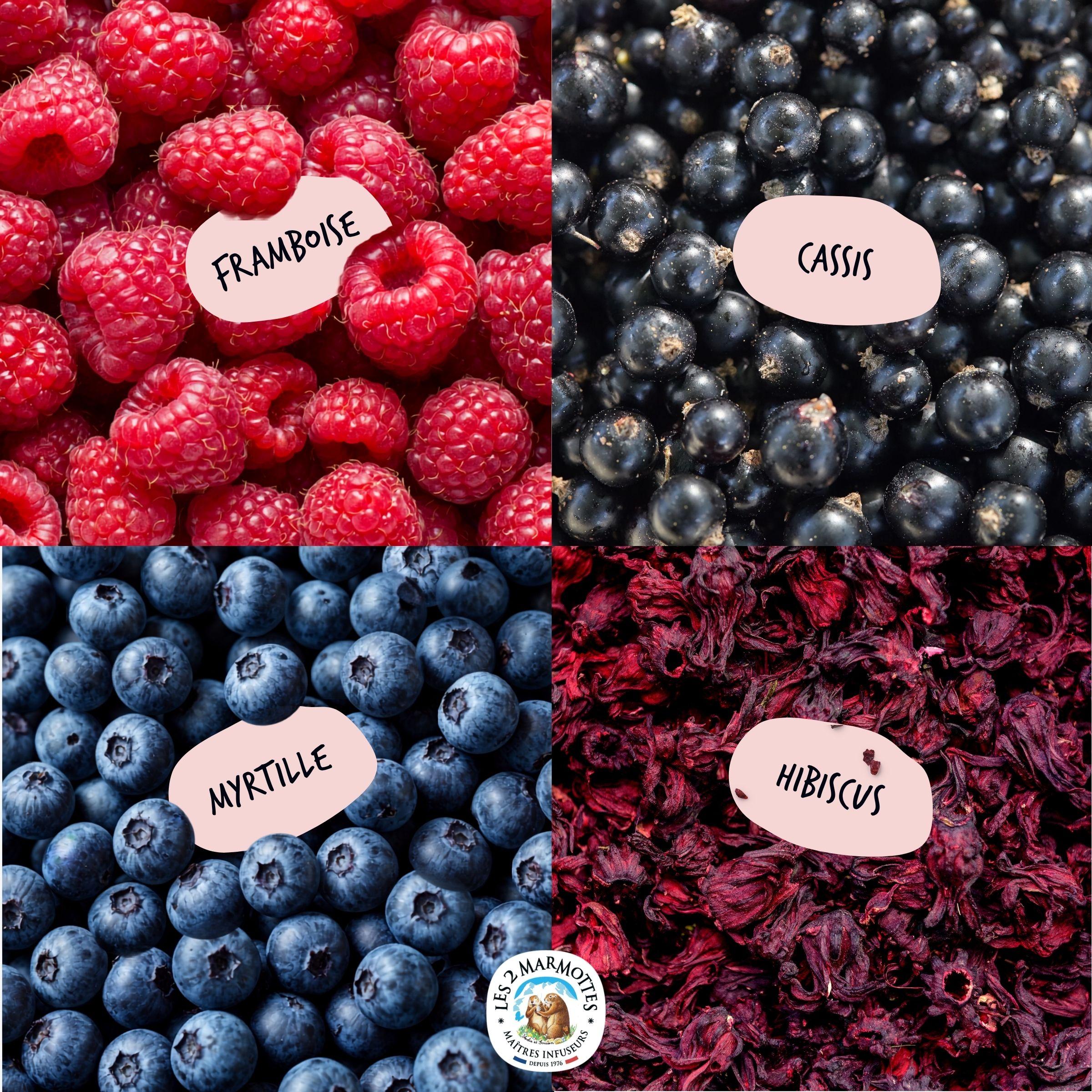 Ingrédients principaux de la tisane fruits rouges les 2 marmottes : framboise, cassis, myrtille, hibiscus rouge