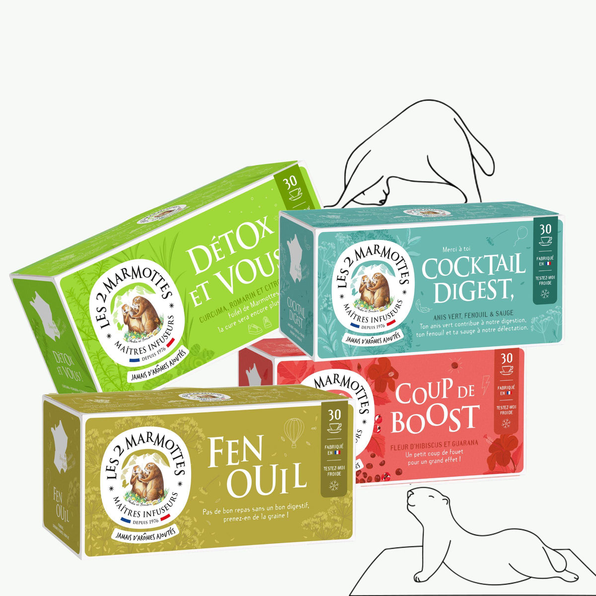 Pack économique de 4 tisanes pour se faire du bien : détox, digestion, energie
