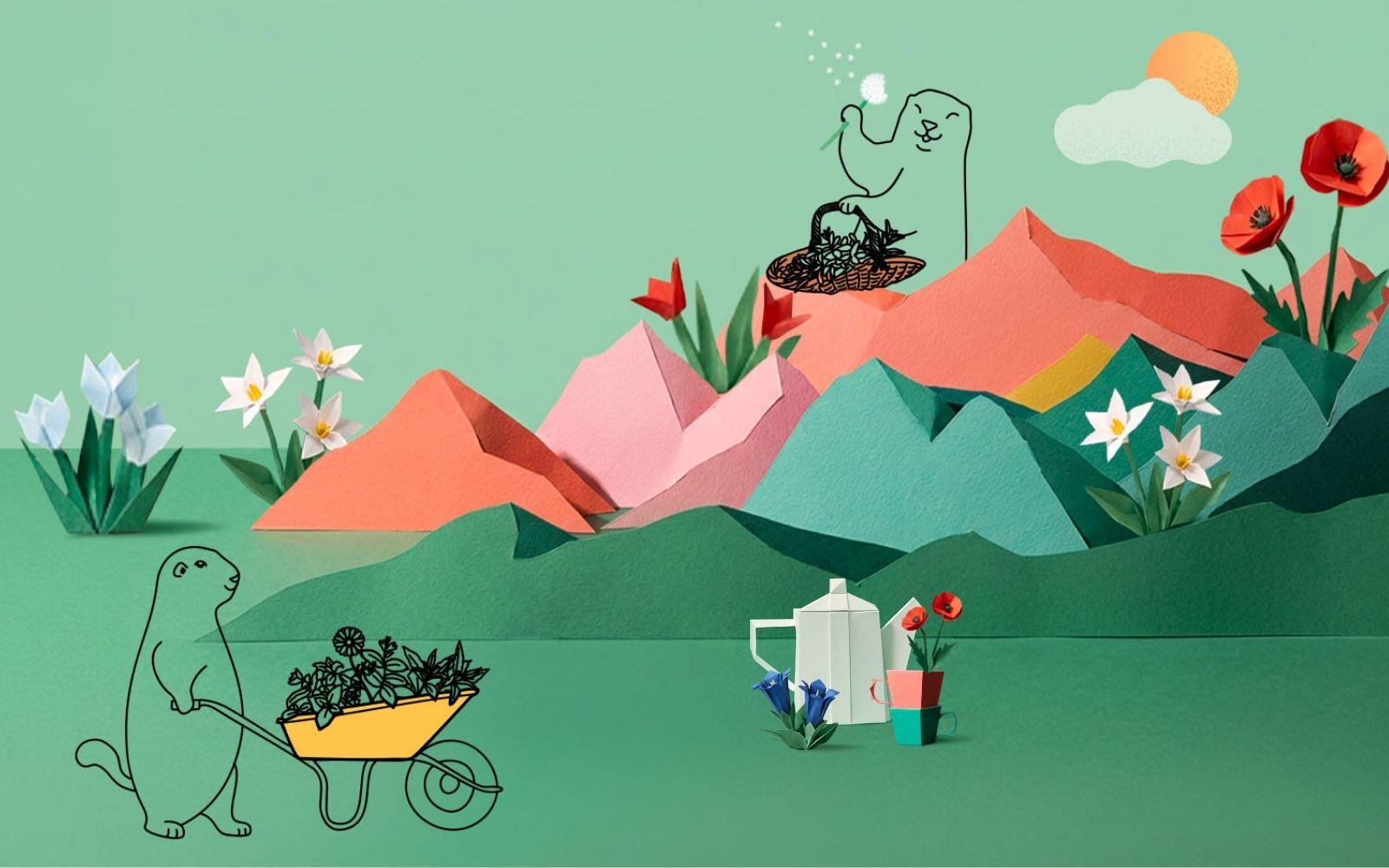 Vide terrier de printemps