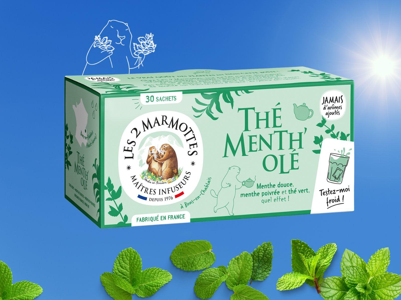 Thé vert bio à la menthe douce et menthe poivrée, à boire frais lors des jours chauds