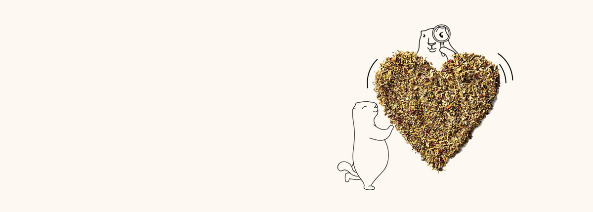 Tisanes et thés sans aucun arôme ajouté, Les 2 Marmottes