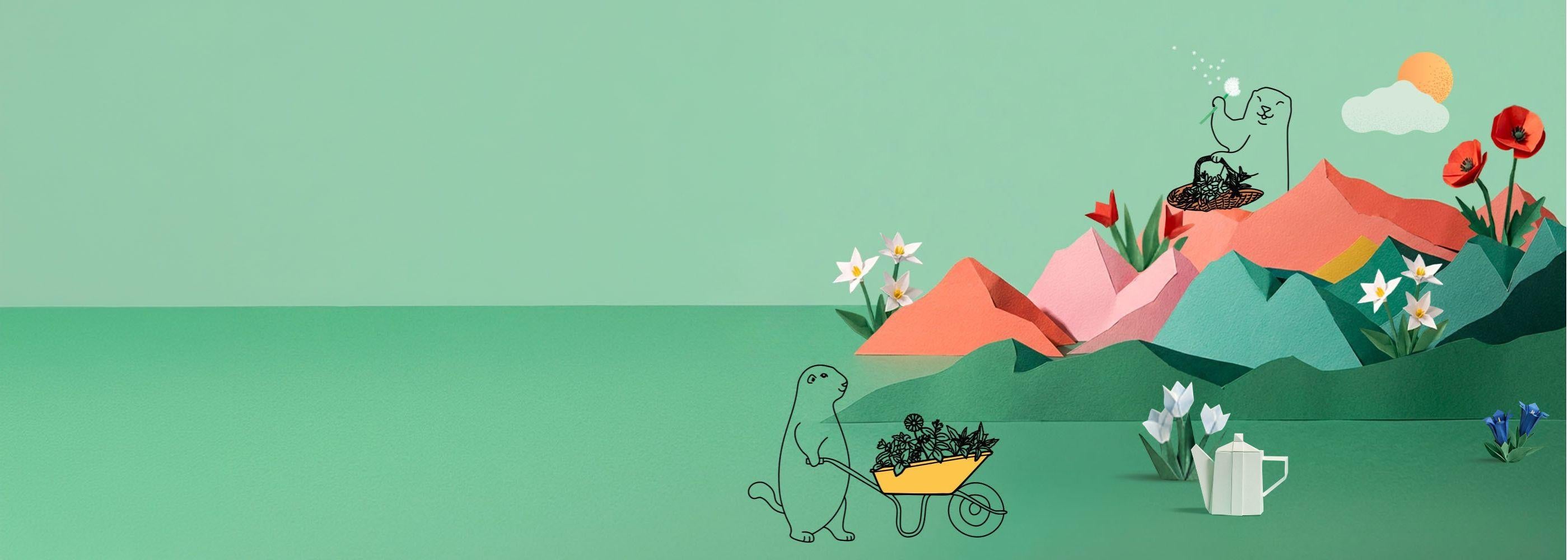 Vide terrier de printemps