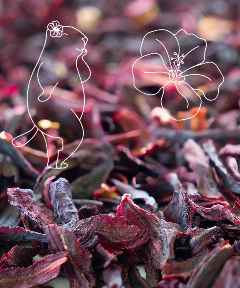 L'hibiscus est utilisé en infusion pour son parfum acidulé et sa jolie couleur