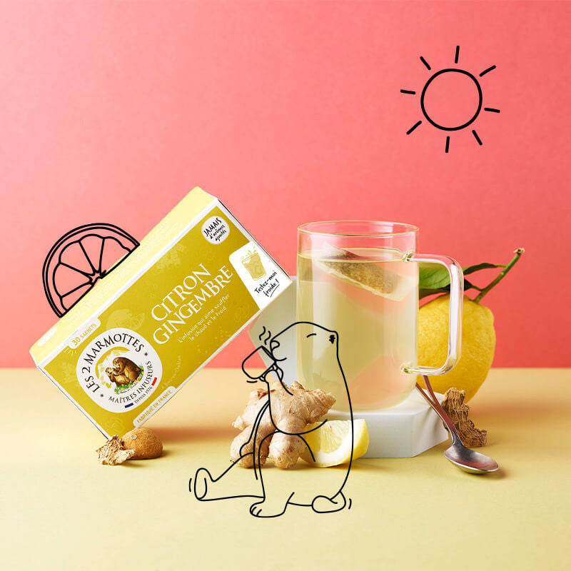 Tisane Citron Gingembre Sarriette citronnée sans arômes ajoutés