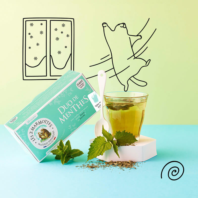 tisane menthe douce et menthe poivrée duo de menthes Les 2 Marmottes - Made in France - Sans arômes ajoutés