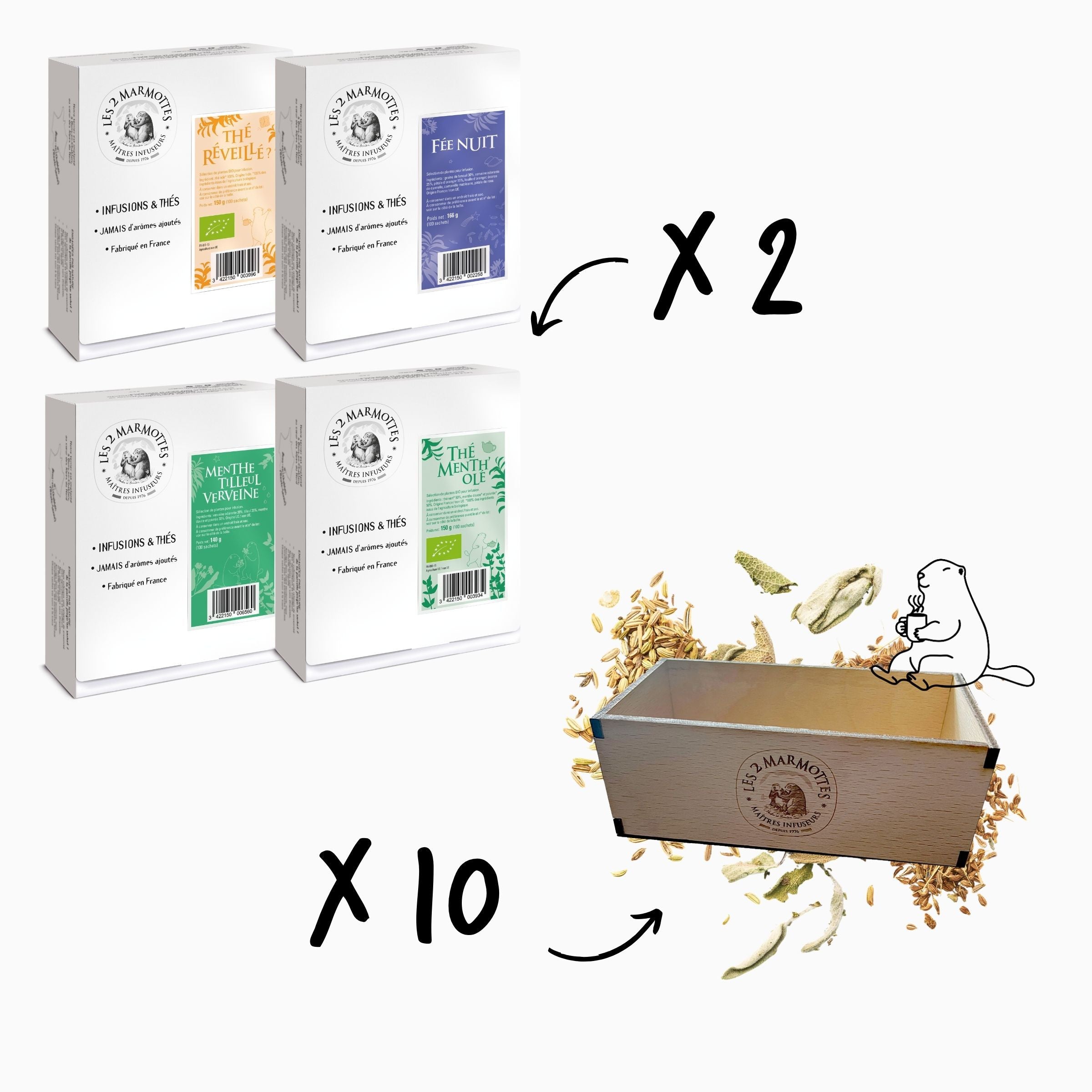 Pack 8 Boîtes Thés et Tisanes + 10 présentoirs chambre