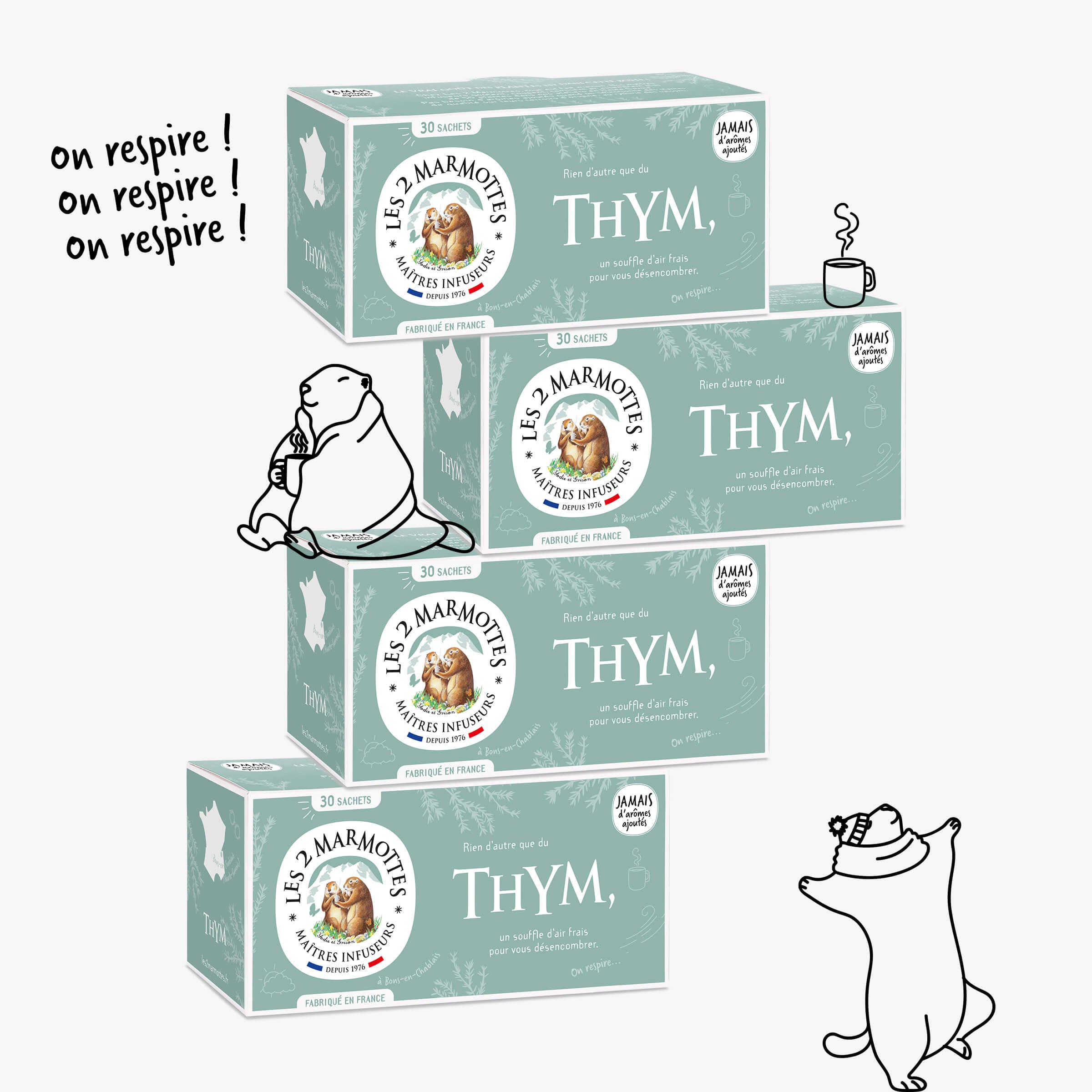 Infusion thym - lot de 4 - 100% plantes sans arômes ajoutés