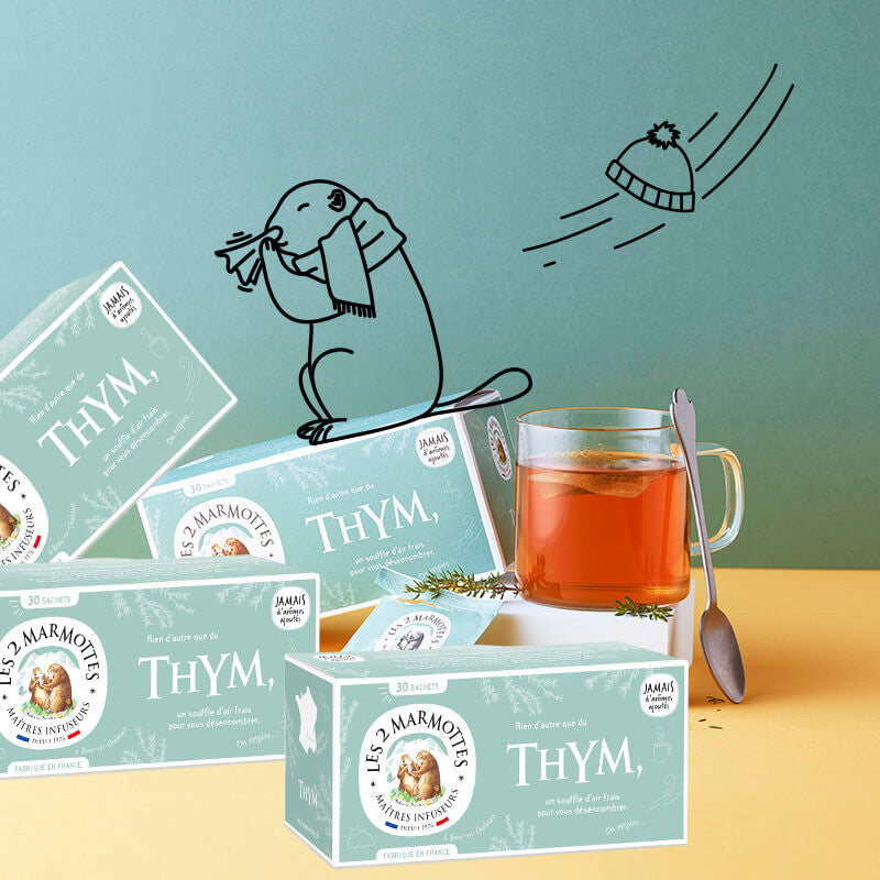 Infusion thym - lot de 4 tisanes de thym - 100% plantes sans arômes ajoutés