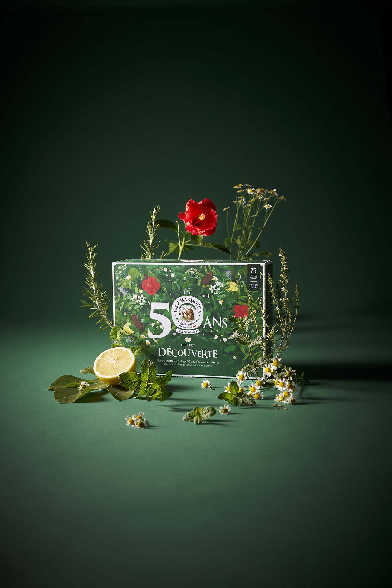 Mug et coffret collector 50 ans Les 2 Marmottes, mug vert illustration fleurs et herbes avec citation "le mug officiel des belles plantes"