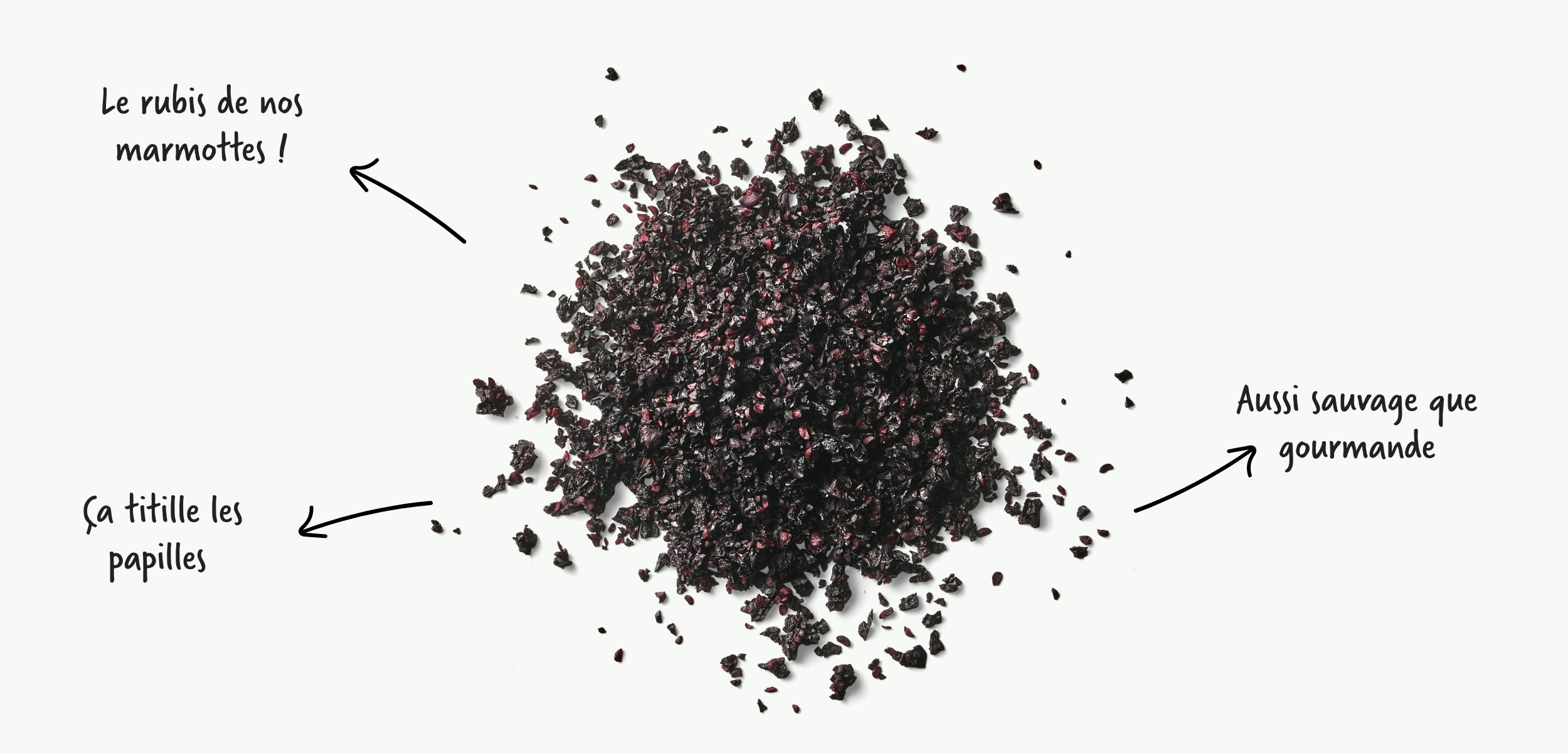 La myrtille séchée est utilisée en tisane